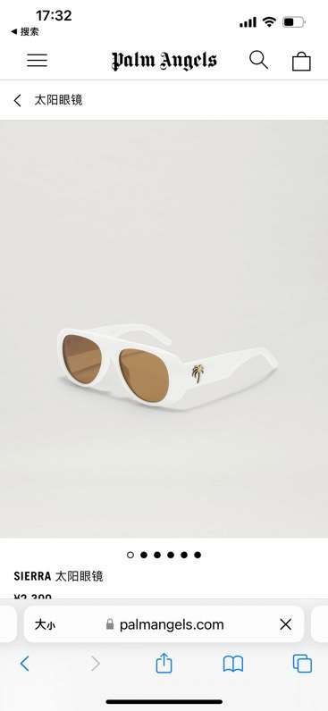 Picture of Palm Angels Sunglasses _SKUfw50719023fw